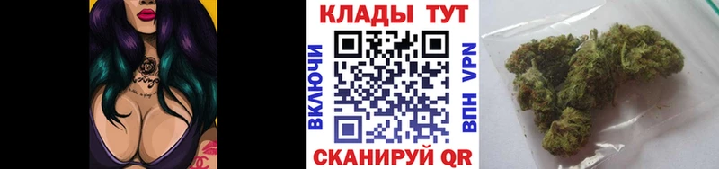 Псилоцибиновые грибы Нововоронеж