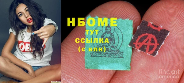 сатива Вязьма