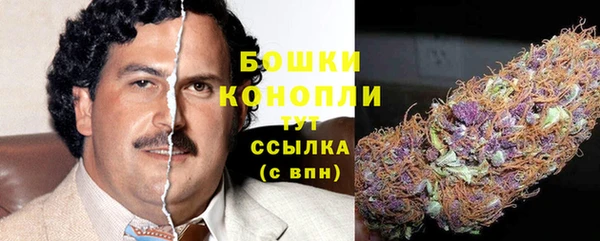 сатива Вязьма