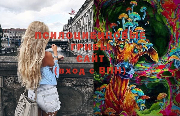 соль курить ск Нижневартовск