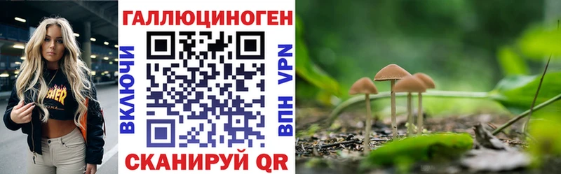 Купить  Нововоронеж  Псилоцибиновые грибы GOLDEN TEACHER 